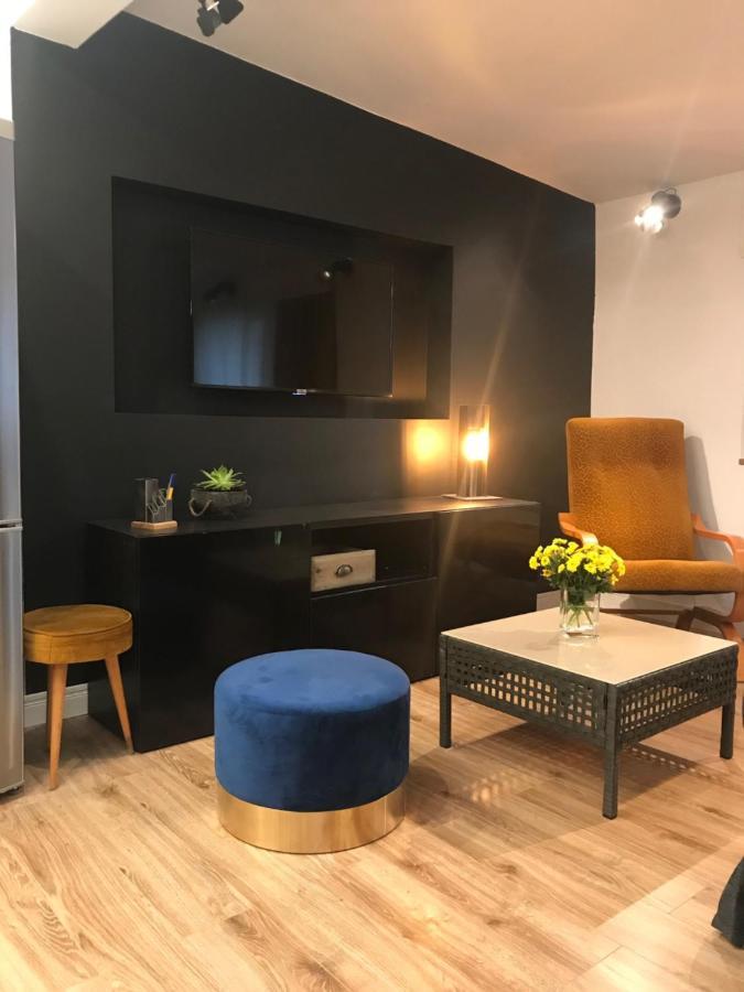 Apartament Ko-Piernika W Toruniu, W Sercu Torunskiej Starowki Luaran gambar